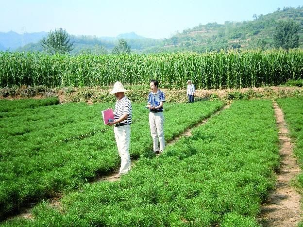 村委会有权收回农民的土地吗?