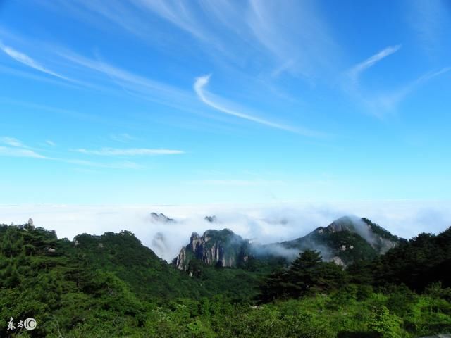 2017年欠外债,几大生肖2018年运势旺到爆,而且