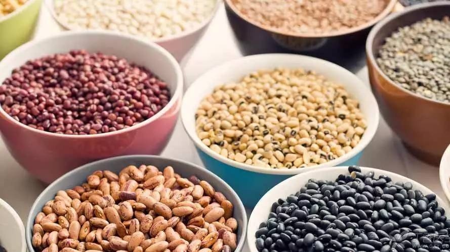 这些嘌呤含量较低的食物,痛风病患者应多吃 这些嘌呤含量较低的食物,痛风病患者应多吃