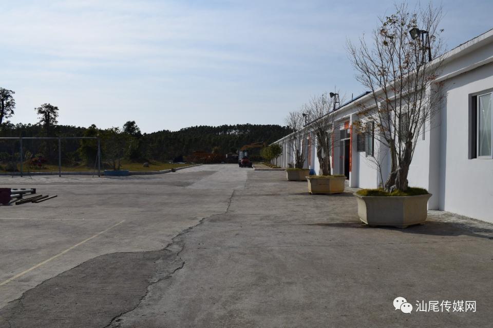 传统南狮的守护者--汕尾义兴比麟堂