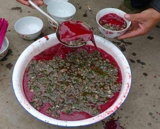 生吃活章鱼,章鱼虽然烹饪了之后吃特别美味,但是生吃真的太难接受了