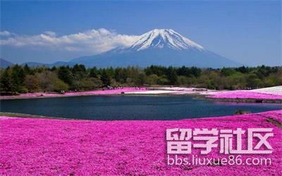 日本语言学校一年费用多少