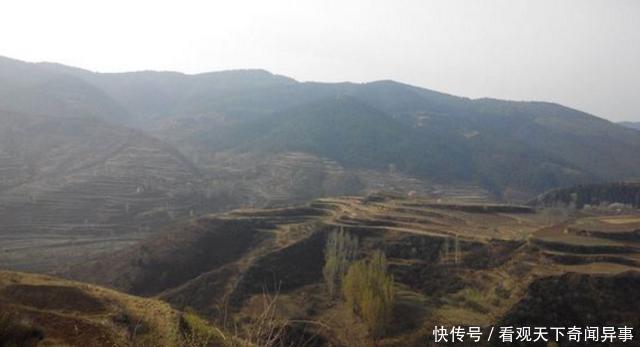 一个千年没有蛇的小山村,突然出现很多蛇,让村