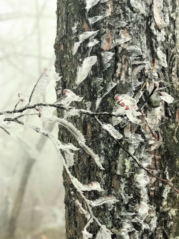 不用去雪乡,湖南人在家门口就可以来一场滑雪