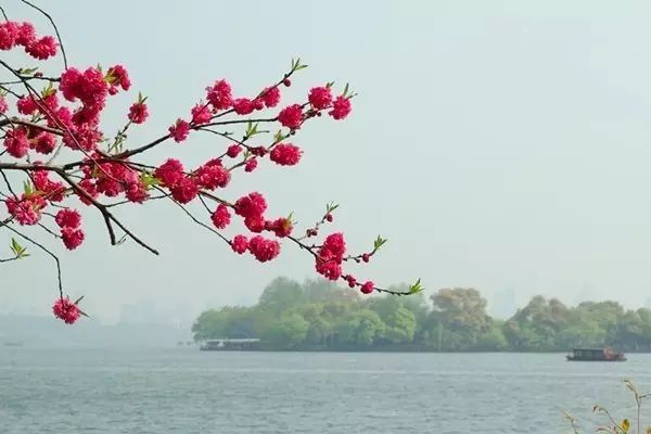 熟读唐诗三百首,不如学会这十首打油诗