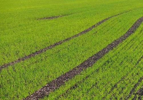 农村户主去世后,子女不能继承承包地?别被忽悠