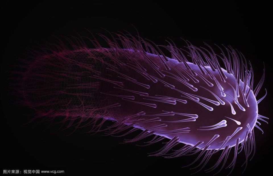 感染了幽门螺旋杆菌的患者会出现什么典型症状