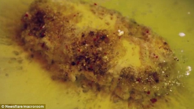 在录像中可以清楚地看到随着布洛芬含片的溶解，其释放的化学物质呈现不同的颜色，从黄色到红色都有。