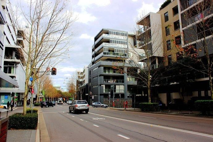 悉尼罗兹奥林匹克公园令人惊艳的盐沼