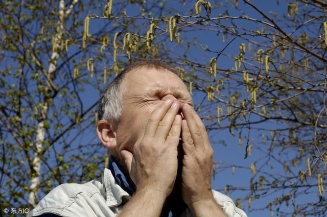 神奇的茶方,专对付过敏性鼻炎,喝上半个月,喷