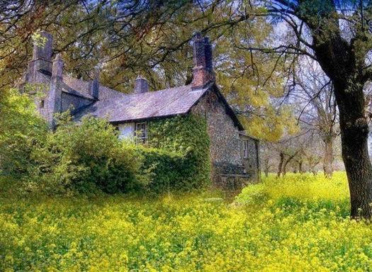 老子一句话,说透人生,点破长寿!