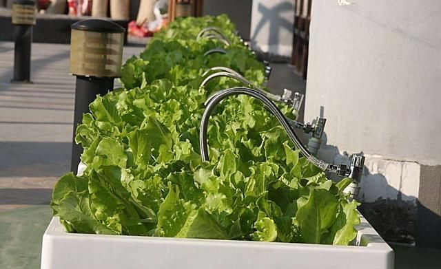 未来五年低成本创业好项目,月入过万必须勤奋