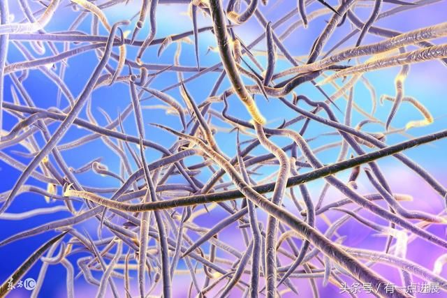 科学家在阿塔卡马沙漠发现了一大批可以治疗H