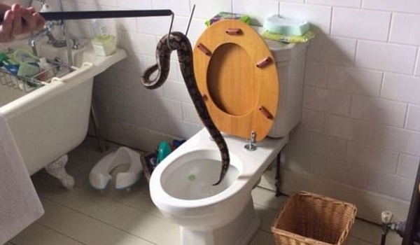 女性专用马桶 t0171d0d50c2a775a95.jpg?size=600x350