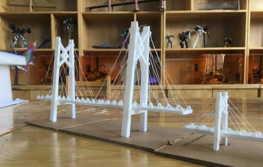 武汉中学生运用3D打印技术制作