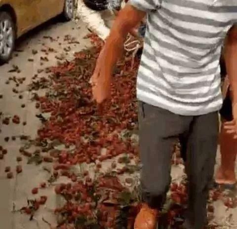 广西荔枝滞销 为啥哈市荔枝这么贵?想吃到价格