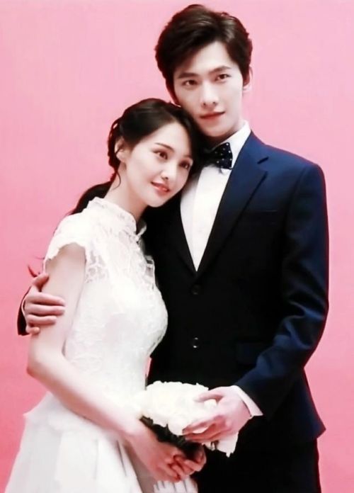 赵丽颖林更新鹿晗迪丽热巴,影视剧之中的人气