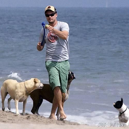 一部《妖猫传》,炸出了一大波娱乐圈的猫奴和