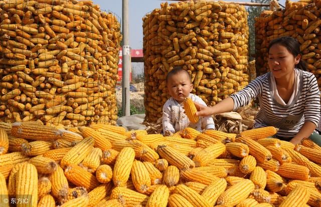 豆粕今日报价2024 t01730dacc6f07a5214.jpg?size=640x413