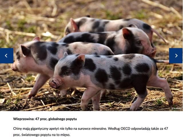 看波兰媒体如何叹服中国的经济发展,称是一条