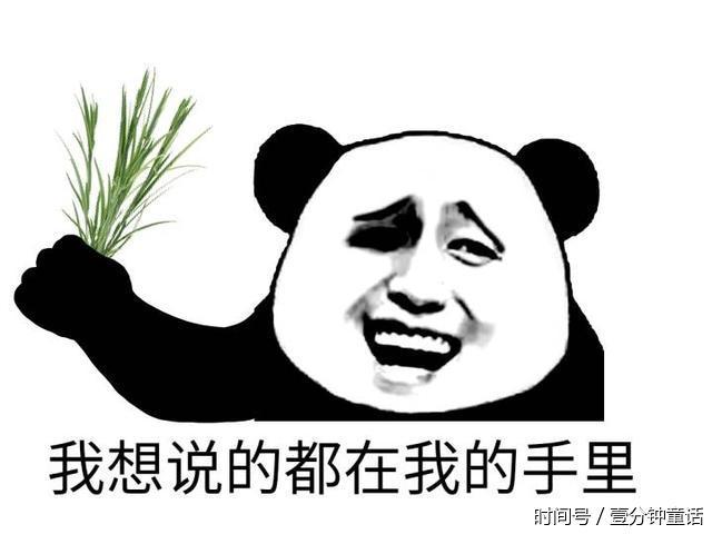 高清无水印熊猫头斗图表情包系列:没时间解释