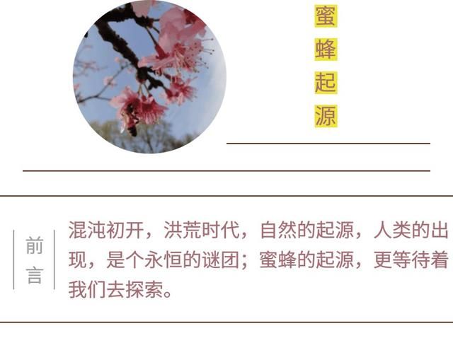 希腊、古玛雅、古埃及还有中国,哪里是蜜蜂的