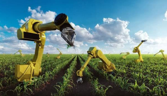 未来农村的十大发展趋势