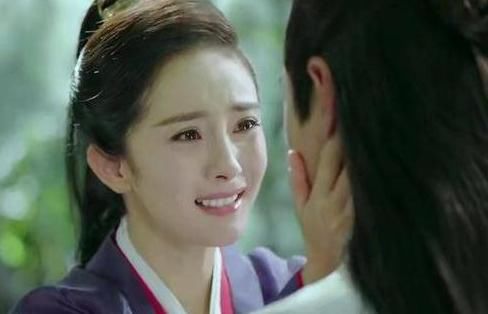 《扶摇》真假无极,扶摇为何能辨别真假