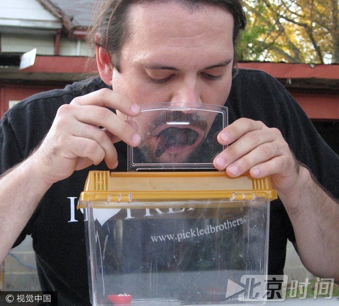 2008年10月11日,来自美国肯塔基州的一个名叫特拉维斯·费斯勒的男子同时往嘴里塞进了11只活蟑螂并坚持10秒而创造了新的吉尼斯世界纪录。原纪录是同时在嘴里含上9只蟑螂。现在,35岁的特拉维斯正在等待官方确认他的新纪录。