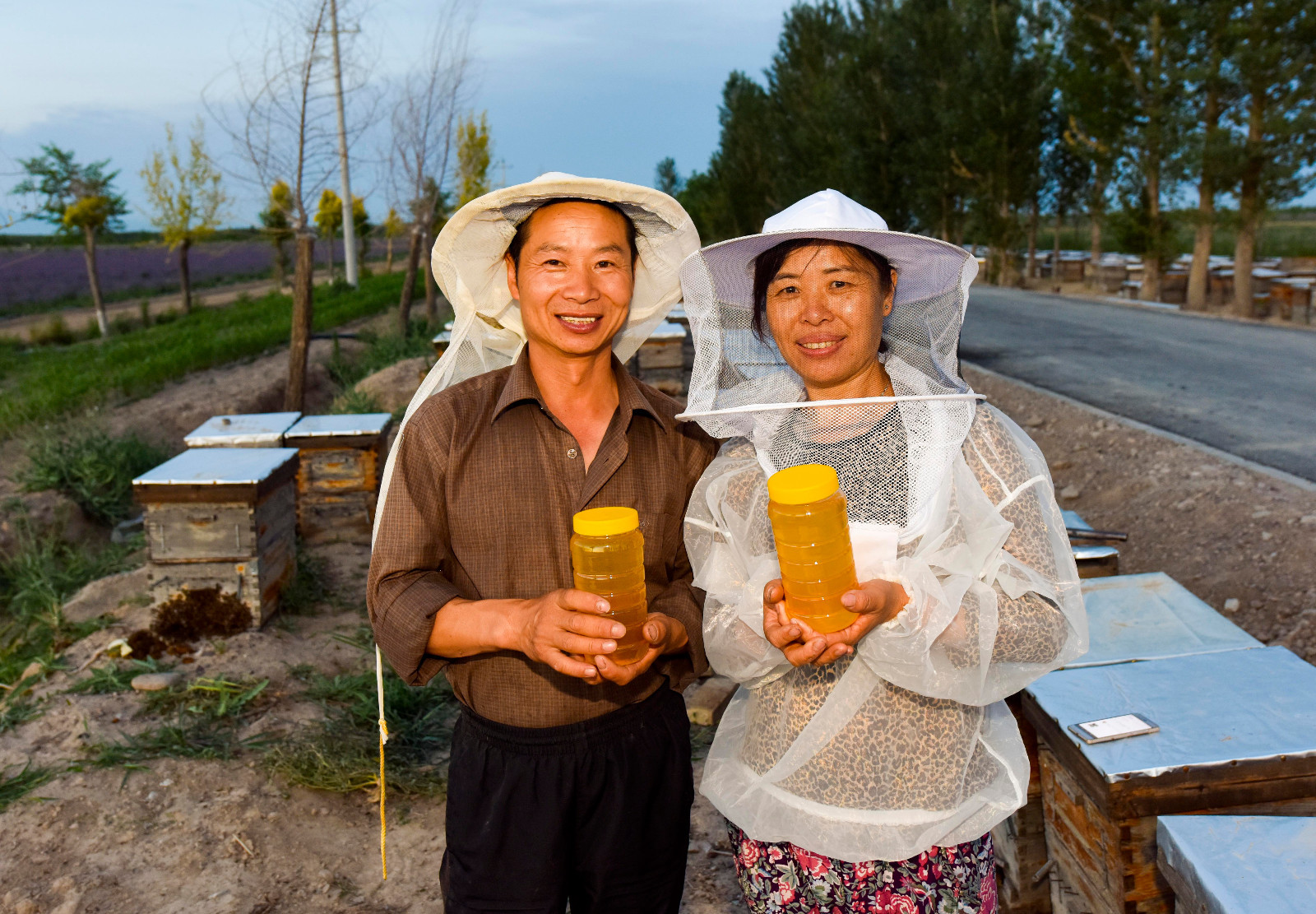 蜂农在薰衣草花田旁展示薰衣草蜜(6月28日摄).