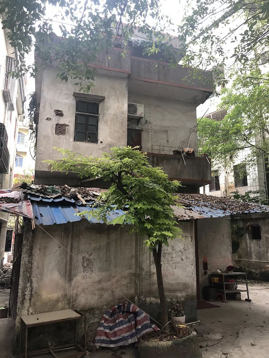 心疼!病重父求医无望,东莞11岁男孩发求助信感