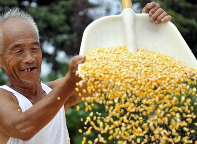 50岁以上的农民工怎么养老?国家来给你补贴,不