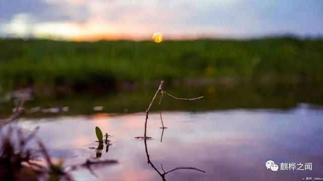 为什么我无视了佳能尼康,从奥林巴斯到索尼又