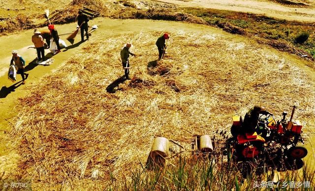 农村打场图片,农村打谷子图片,农村扬场图片(第2页)_大山谷图库