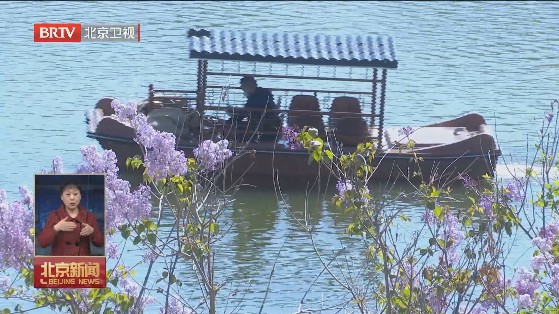 春雨催花开 昌平文旅“热”起来