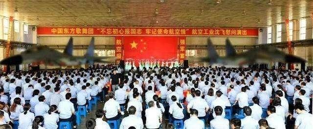 歼20已经服役,为何还要复产歼11? 机队空缺不