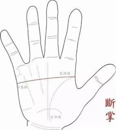 断掌到底意味着什么
