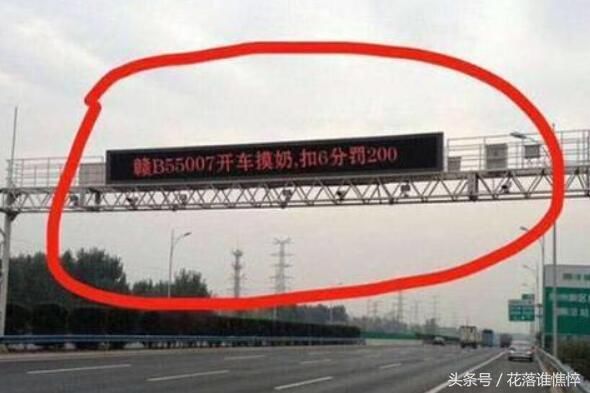 林子大了什么鸟都有 这下全国人民都认识你了 惊不惊喜？