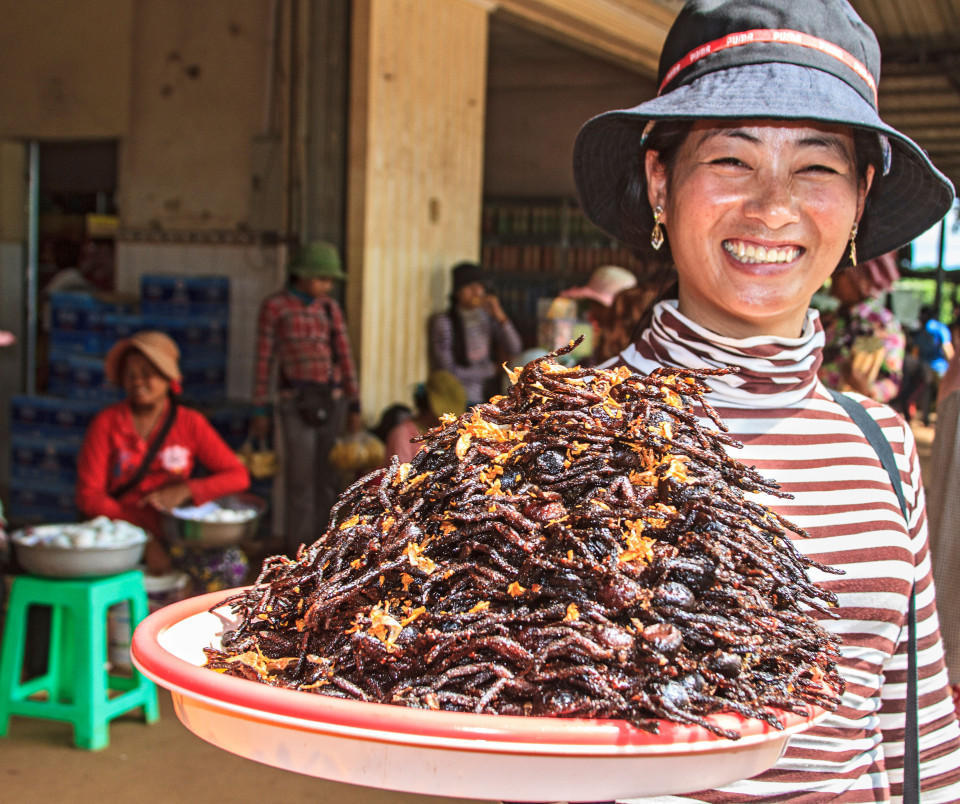 柬埔寨小镇民众拿炸蜘蛛当零食 称味道如炸鸡 柬埔寨小镇民众拿炸蜘蛛当零食 称味道如炸鸡