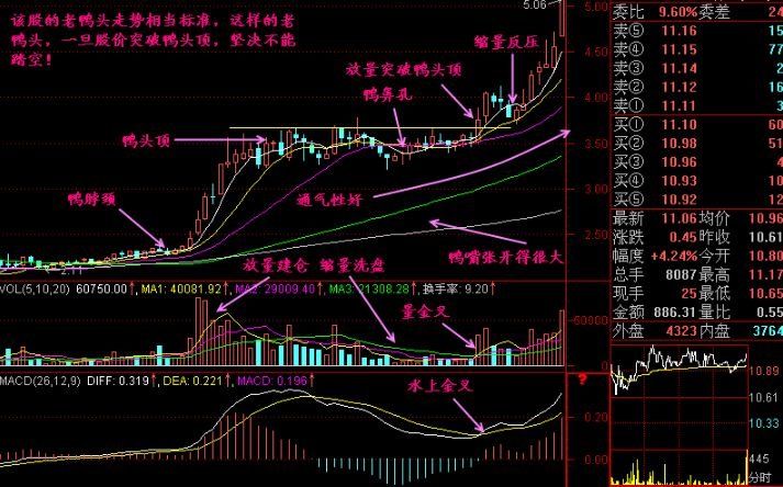 股票炒股实战技巧老鸭头形态