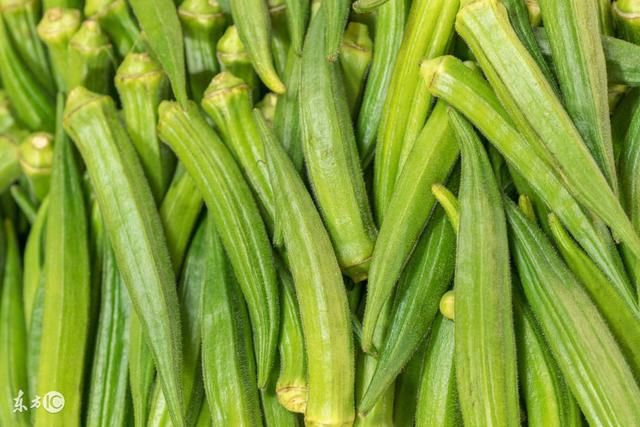 糖尿病患者注意啦!多吃这些菜,血糖自然就低了