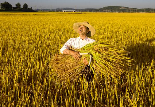 E借通:如何办理农户小额信用贷款申请条件是什么