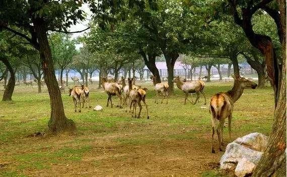 江苏省正在修建一条高铁, 预计2022年建成通车