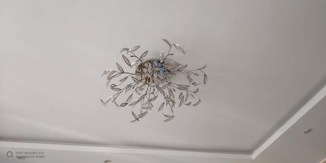 努比亚Z18拍照体验:索尼IMX499传感器具备AI