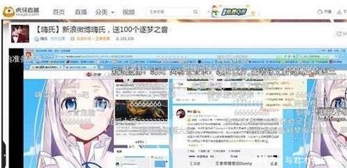 王者荣耀灵异事件大全 嗨氏直播十人掉线时间