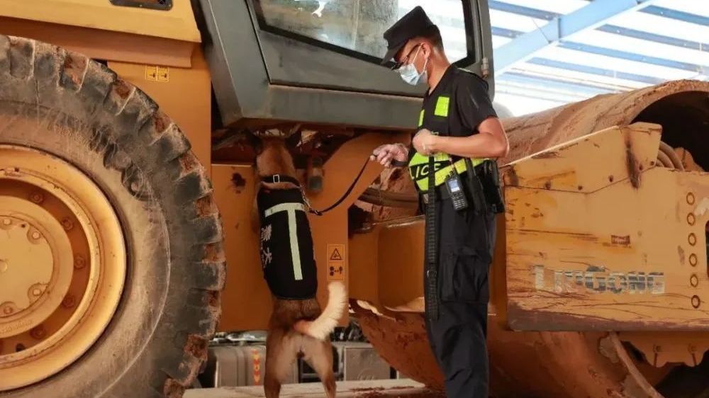 汪汪队立大功！过去五年先后派犬出勤14.25万头次