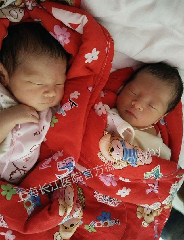 谢娜生双胞胎 盘点生双胞胎的五种方法