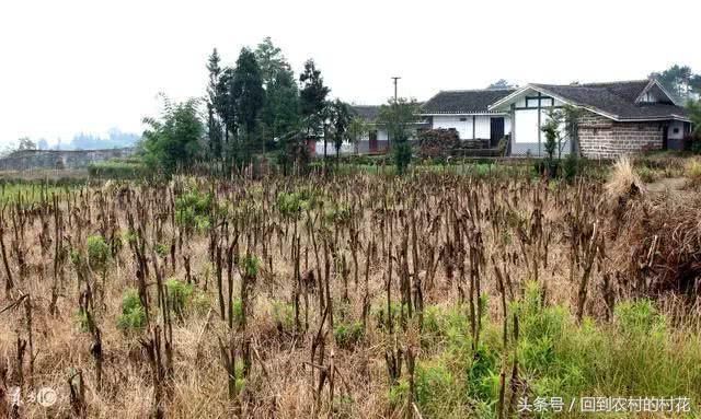 在土地确权时没有把家庭成员写上,怎么办?有什