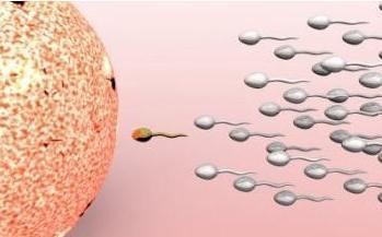 女人体内在精子着床的那一瞬间,竟有奇妙感受