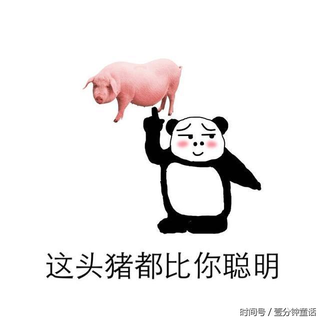 清无水印熊猫头斗图表情包系列:没时间解释了